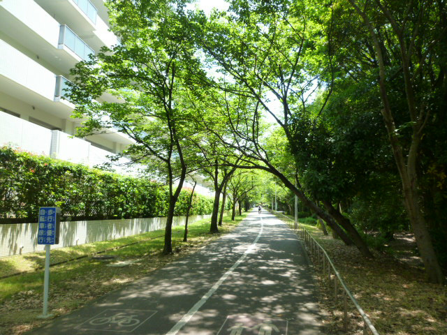 ルモンベル泉北桃山公園 外観写真（緑道側より撮影）