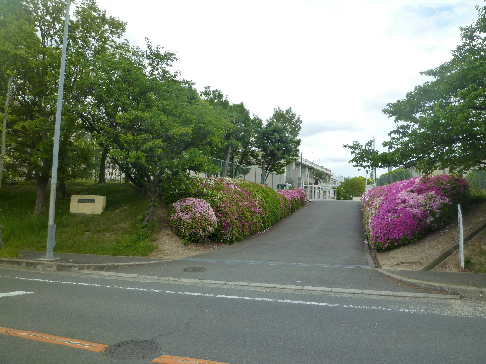 ルモンベル泉北桃山公園 中学校：堺市立福泉南中学校　556m