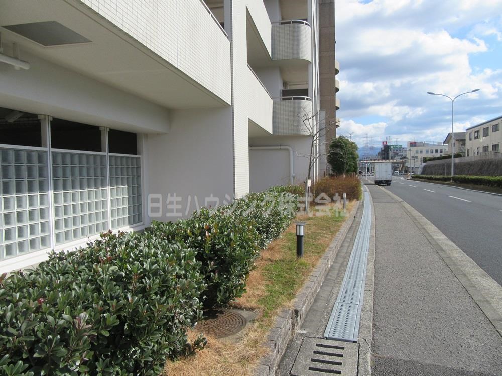 ディーレスティア堺・光明池 西側道路風景_1.jpg