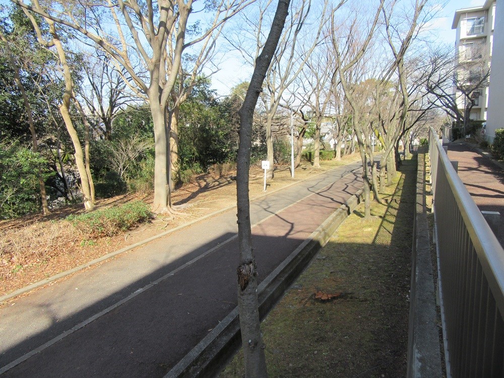 泉北赤坂台A住宅　7号棟 遊歩道風景（７号棟横）.jpg
