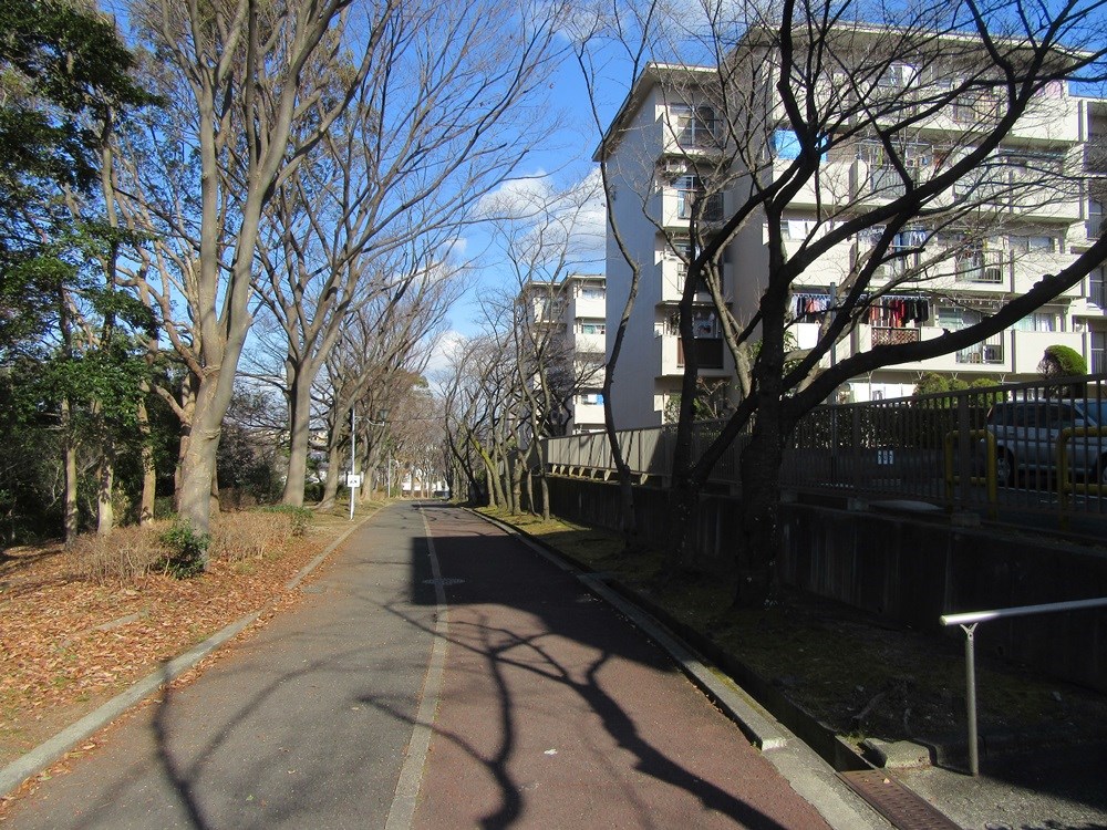 泉北赤坂台A住宅　7号棟 ７号棟横遊歩道