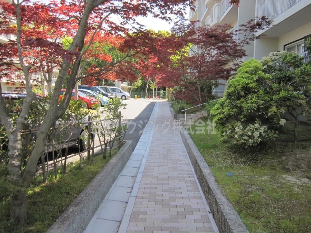 光明池駅前第2住宅　4号棟 4棟前の遊歩道_1.jpg