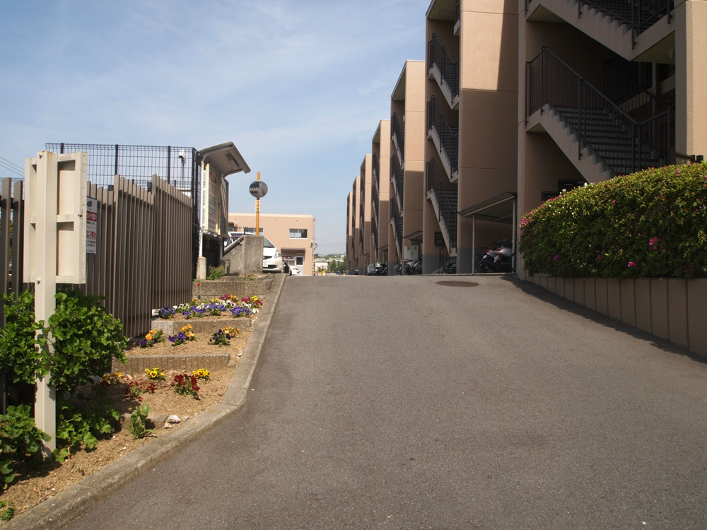 ニュー泉北マンション P4232298.jpg
