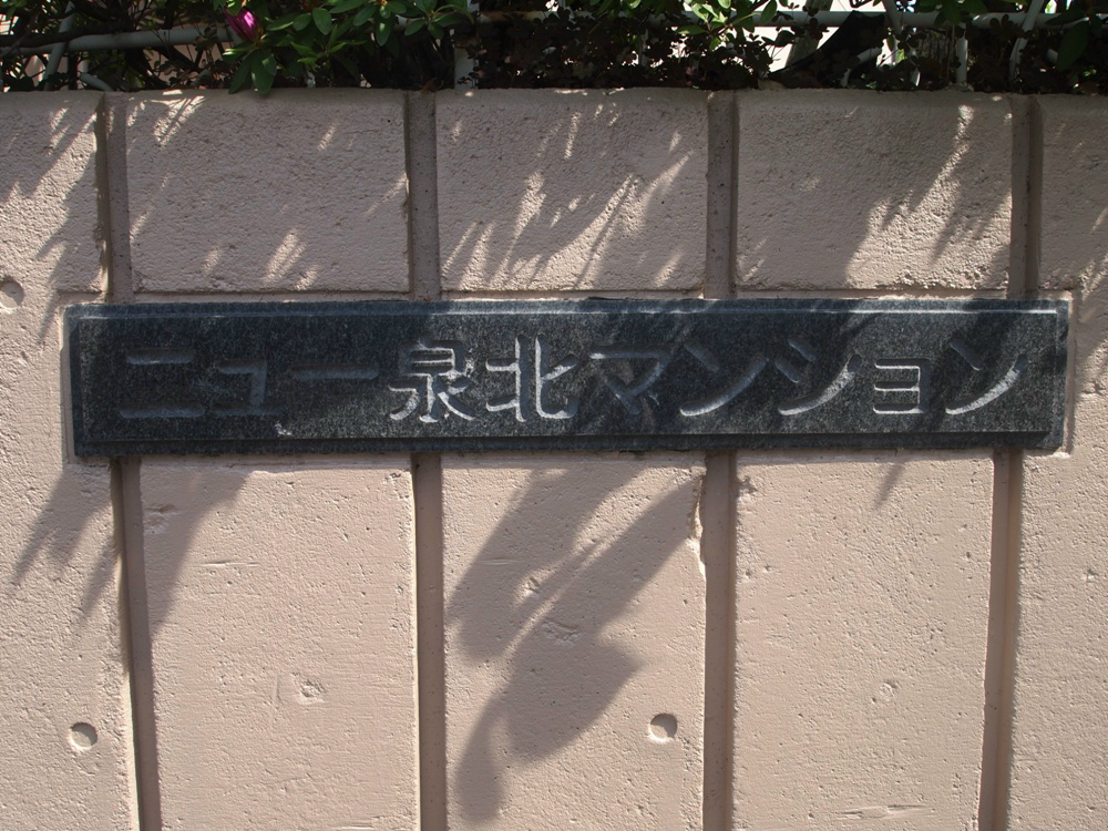ニュー泉北マンション P4232299.jpg