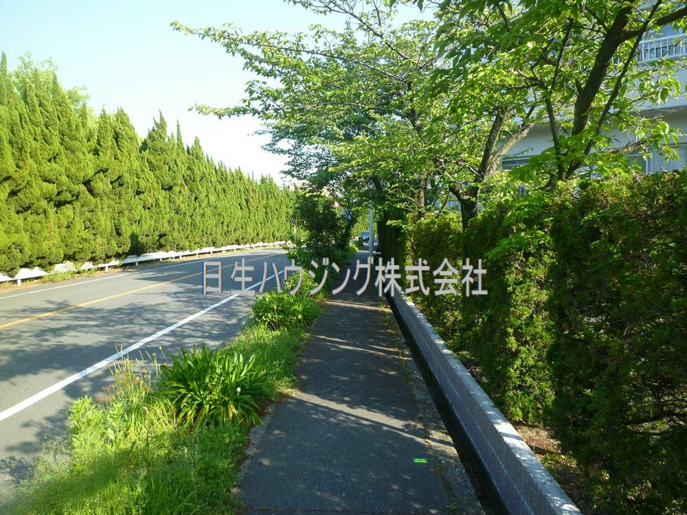 竹城台コーポ P1040146_1.jpg