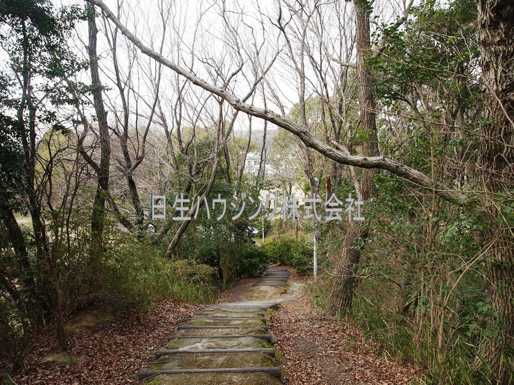 泉北槇塚台C住宅　５号棟 P1012030_1.jpg