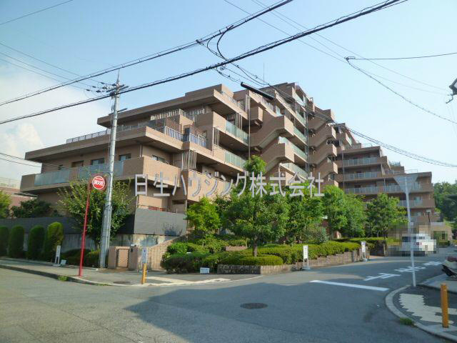 P1050322_1.jpg