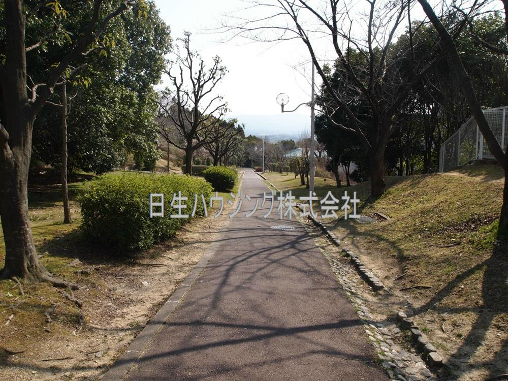 茶山台第一次住宅　10号棟 P3132114_1.jpg