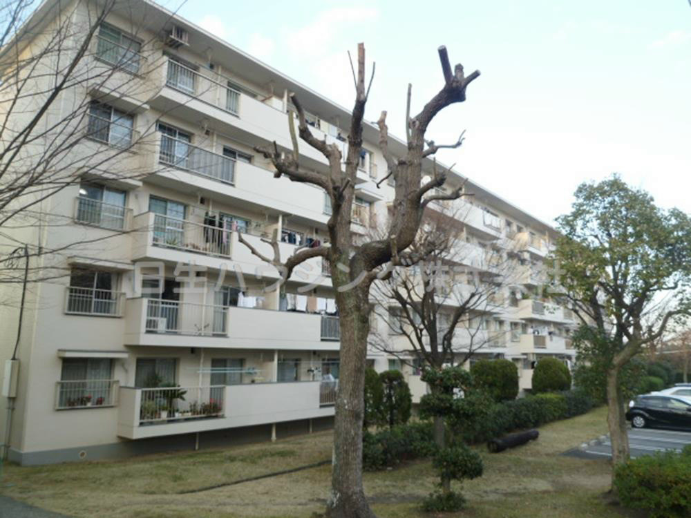 泉北桃山台第２団地　29号棟 P1060634_1.jpg