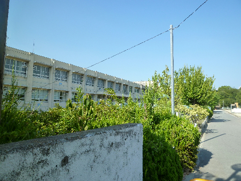 泉北桃山台第２団地　33号棟 小学校：堺市立桃山台小学校　817m