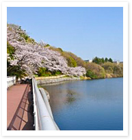 大蓮公園